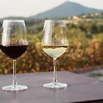 Azienda Agricola Ca' Lunga Cinto Euganeo