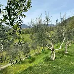 Azienda Agricola Ca' Lunga