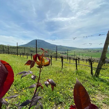 Azienda Agricola Ca' Lunga ファームステイ *