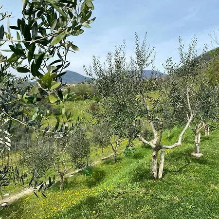 Azienda Agricola Ca' Lunga