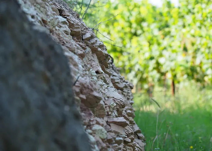 Azienda Agricola Ca' Lunga