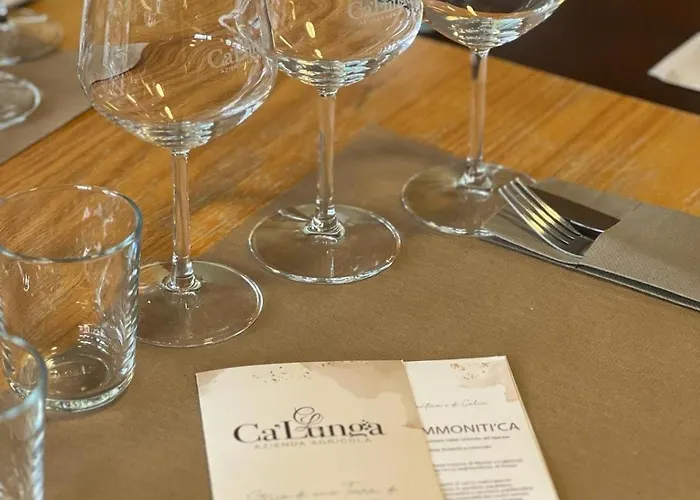 Azienda Agricola Ca' Lunga Feriegård Cinto Euganeo