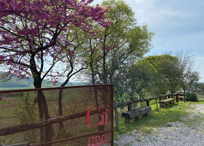 Feriegård Azienda Agricola Ca' Lunga