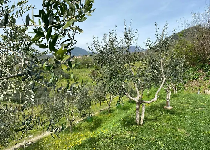 Azienda Agricola Ca' Lunga