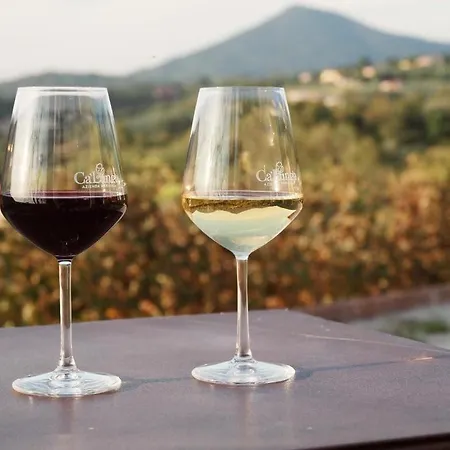 Azienda Agricola Ca' Lunga Cinto Euganeo