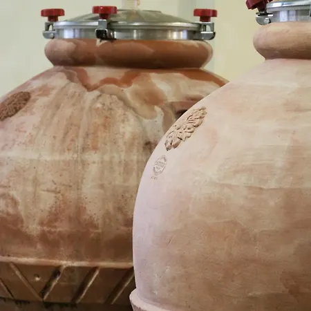 Azienda Agricola Ca' Lunga * Cinto Euganeo