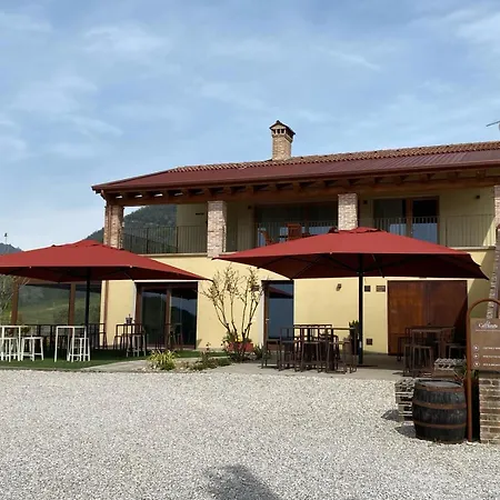 Azienda Agricola Ca' Lunga Cinto Euganeo