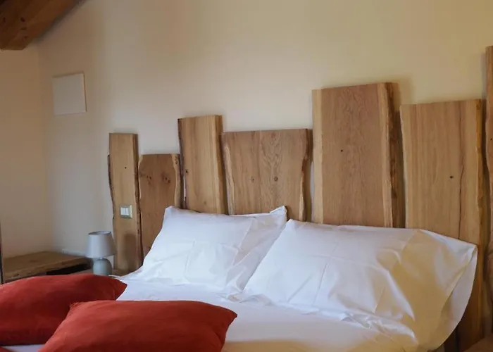 Azienda Agricola Ca' Lunga Cinto Euganeo